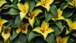 © Cherkasova Alie - Background of green leaves and yellow lily flowers. Juicy bright foliage.The texture of large leaves and buds. Beauty is in nature.