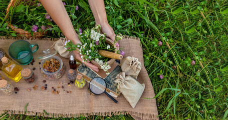 Wall Mural - A woman collects medicinal herbs