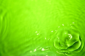Wall Mural - the green water surface reflects light.