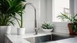 Kitchen faucet with a sink and natural green plant in a modern kitchen