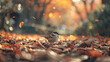A small sparrow hops along in the fallen leaves
