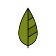 Icones symbole logo feuille arbre culture nature couleur