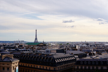 Wall Mural - Paris cityscape. Rooftops of the buildings, Eiffel Tower in the background