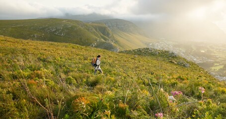 Wall Mural - woman hiking, walking and travel on mountains for adventure, wellness and health in nature, flowers 