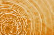 drops on water with circles on a orange background