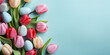 Bunch of colorful tulips on a blue background. Banner. Copy space for text