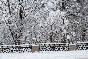 Wall Mural - Snow-covered trees in a city park. Cold snowy weather. Consequences of heavy snowfall. Snow on tree branches and fence.