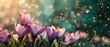 Crocuses pink and violet spring flowers on green blurry aesthetic backdrop with a space for text or product, Generative AI.