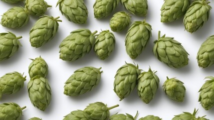 Wall Mural - Beer Hops Isolated On White Background