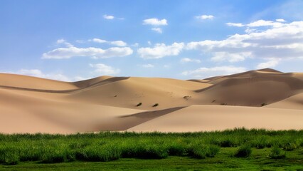 Canvas Print - Southern Mongolia