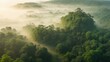 Beautiful foggy morning light Landscape in the jungle. Aerial drone top view