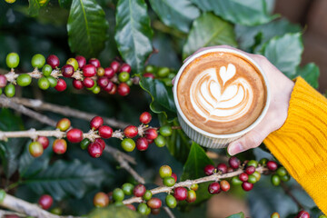 Wall Mural - beautiful Latte art coffee with coffee tree