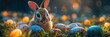 Easter bunny in the field among Easter eggs A small fluffy rabbit is looking for colored decorated eggs, 