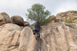 © ADDICTIVE STOCK - From below of anonymous climber in black attire ascends a challenging boulder, with a backdrop of rugged terrain and a solitary pine tree