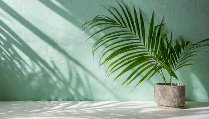 white marble stone counter table, tropical monstera plant in sunlight on green wall background for fresh organic cosmetic, luxury skin care, beauty product presentation