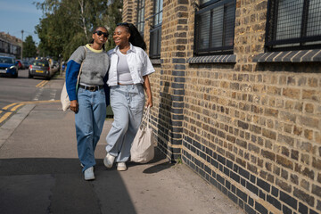 Wall Mural - Young female couple walking in street