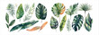 Collection of Beautifully Painted Tropical Leaves, Featuring Various Species and Colors, Ideal for Nature
