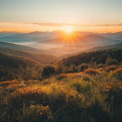 Sticker - Morning Woods. Embracing Nature's Splendor at Dawn. As the Sun Rises Over the Horizon, Its Golden Rays Illuminate the Verdant Landscape of the Forest