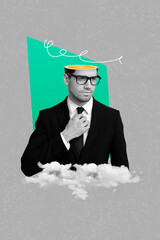 Poster - Vertical collage creative picture image black white effect attractive serious man half head citrus fresh cloud fly unusual sketch banner