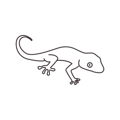 Sticker - gecko line icon logo vector