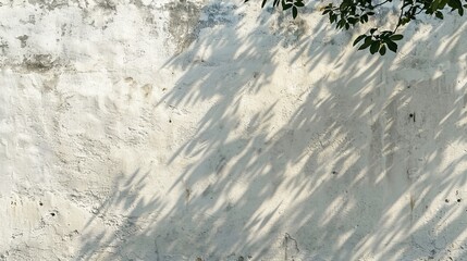 Poster - A sunshade shadow is cast over the white concrete wall by the sun