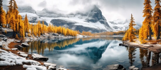 Canvas Print - A mountain lake is surrounded by snow-covered trees, creating a picturesque winter scene. The trees are covered in fresh snow, contrasting with the dark waters of the lake. The landscape is serene