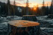 © Jan - Golden sunrise over forest stumps, concept of deforestation and habitat destruction
