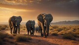 Fototapeta  - elephants at sunset
