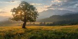 Fototapeta Na ścianę - breathtaking landscapes of nature