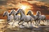 Fototapeta Konie - White Horses Herd in Wild, Running Stallion by Seaside, Beautiful Grey Horse, Sun Rays, Copy Space
