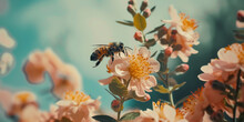 Bee Sucking Honey In The Flower