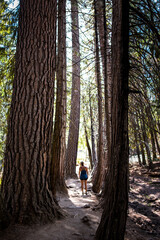 person in the forest