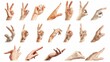 Hand sign language alphabet isolated on white 