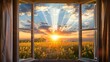 Stunning view through open window of yellow crops and beautiful sunset through clouds. Evening rays of orange sunshine burst through the house window and open curtains 