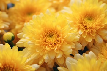 Aufkleber - Bright yellow flowers arranged in a vase, suitable for various design projects