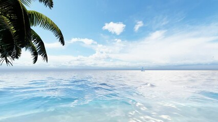 Wall Mural - Palm and tropical beach. The best beaches in the world. Loop video sunny beach.	