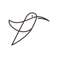 Poster - line art hummingbird icon logo vector