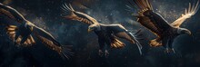 Eagles Flying With Open Wings, Dark Azure And Bronze, Ranger, Panel Composition Mastery