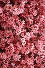 Poster - A close up of a bunch of pink flowers, perfect for nature backgrounds
