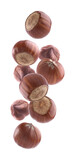 Fototapeta Lawenda - Falling hazelnuts in closeup on white background