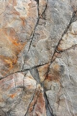 Poster - Close-up shot of a bird on a rock. Suitable for nature and wildlife themes