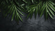 Dark spa background, moisturizing concept, palm leaves and black stones on a dark surface, top view