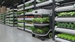 Automated Robot in Plant Supermarket with Large Warehouse of Produce