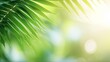 © Shabnam - Blur beautiful nature green palm leaf on tropical beach with bokeh sun light wave abstract background.