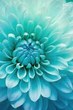 Close Up Of A Large Blue Flower, Perfect For Floral Backgrounds