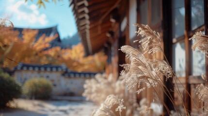 Aufkleber - Tall grass in front of a building with a blue sky in the background. Suitable for architectural and landscaping concepts