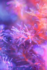 Poster - Close up of a plant with water droplets. Suitable for nature or environment concepts