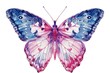 Vivid butterfly illustration in pink and blue Detailed and perfect for artistic and educational uses