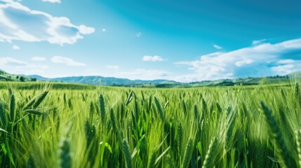 Canvas Print - Green grass field with mountains in the background, suitable for nature and landscape themes