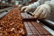 A close-up of a confectionery assembly line where a worker's gloved hands ensure the quality of chocolate bars. The meticulous process highlights the attention to detail in chocolate production.